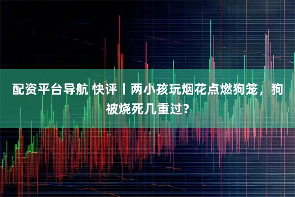 配资平台导航 快评丨两小孩玩烟花点燃狗笼,狗被烧死几重过?